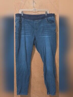 Terra & Sky Blue High-Waist Stretchy Pull-On Jeans Size  1X (16W - 18W) Petite